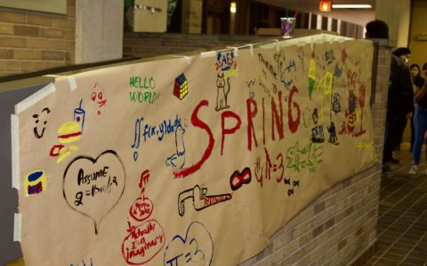 Spring board